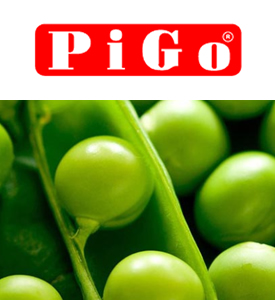 Pigo